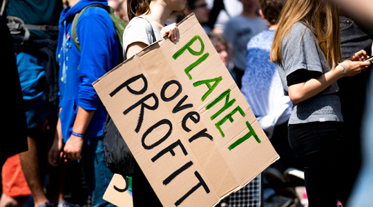Addressing the sustainability challenge by inclusion